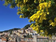183 D23 BORMES LES MIMOSAS 1_000005